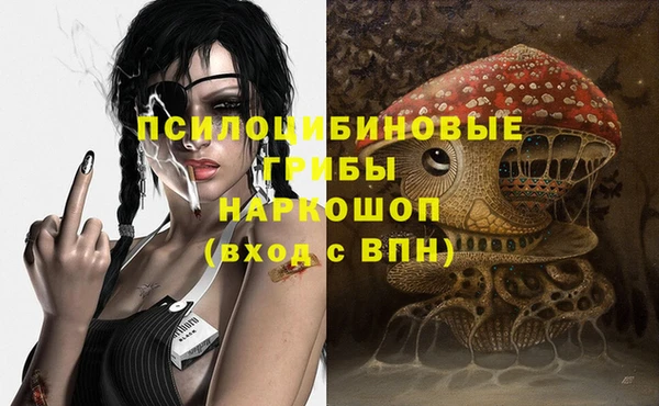 стаф Кинешма