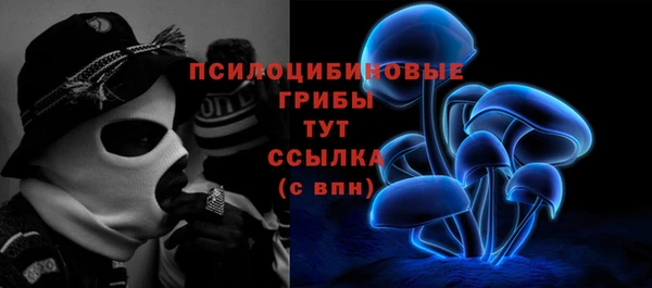 стаф Кинешма