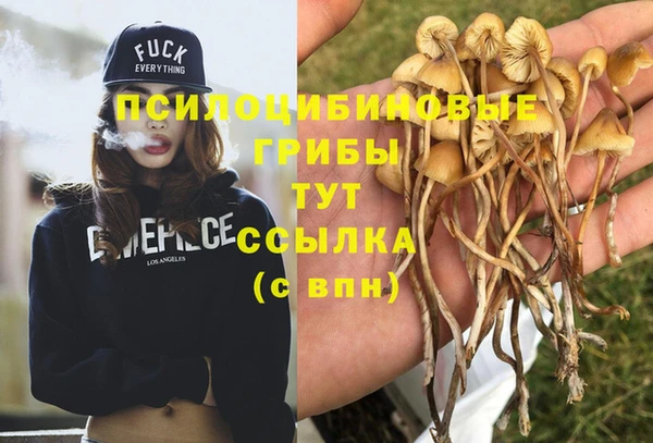 герыч Киреевск