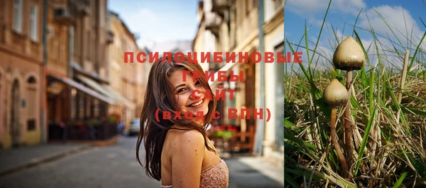 гидропоника Киренск